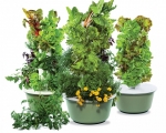 Order Your Tower Garden Today!
